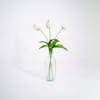 Three white artificial tulip stems in glass vase