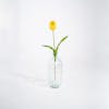 Yellow artificial tulip stem in glass vase