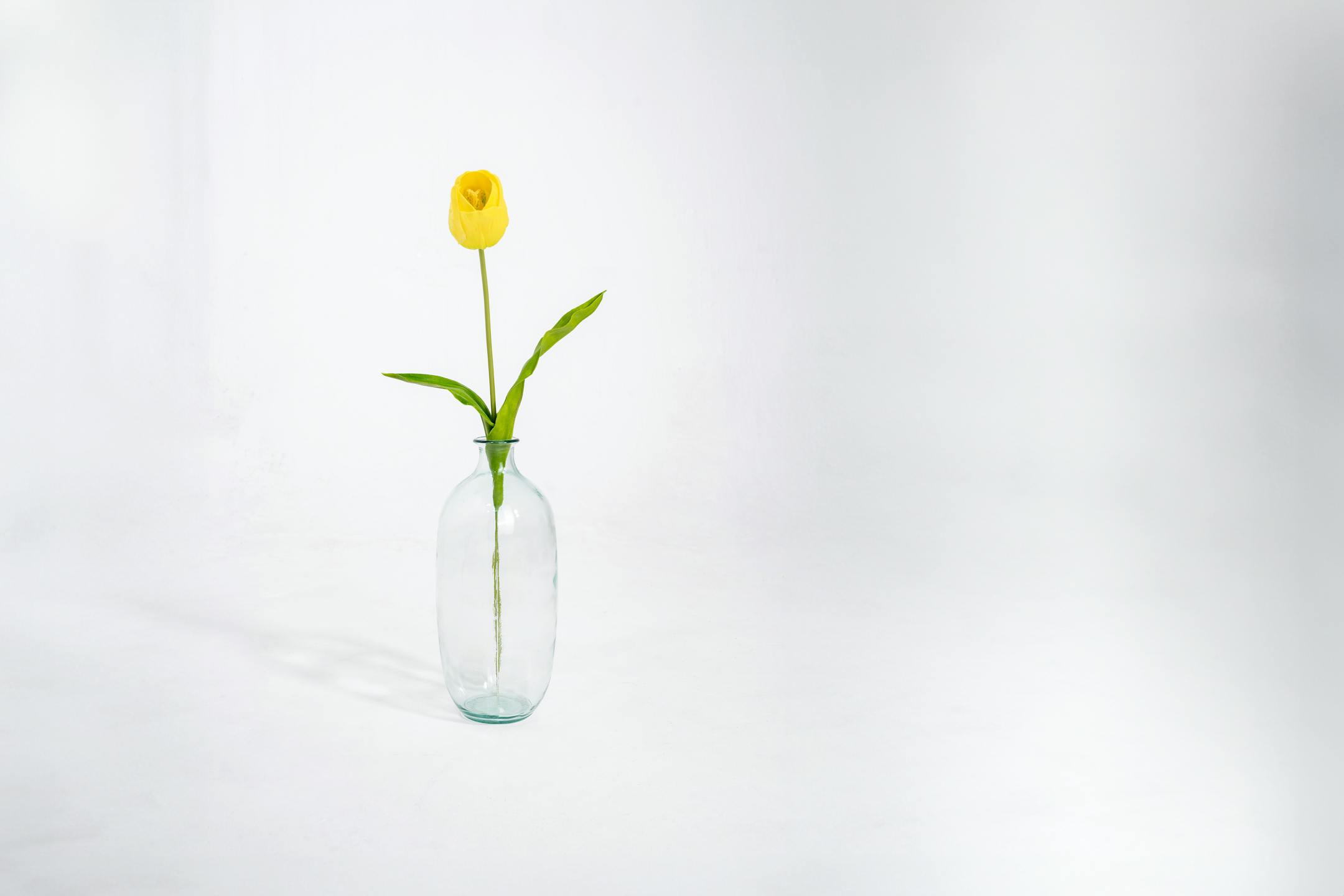 Yellow artificial tulip stem in glass vase