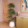 Faux fruticosa tree in pink interior