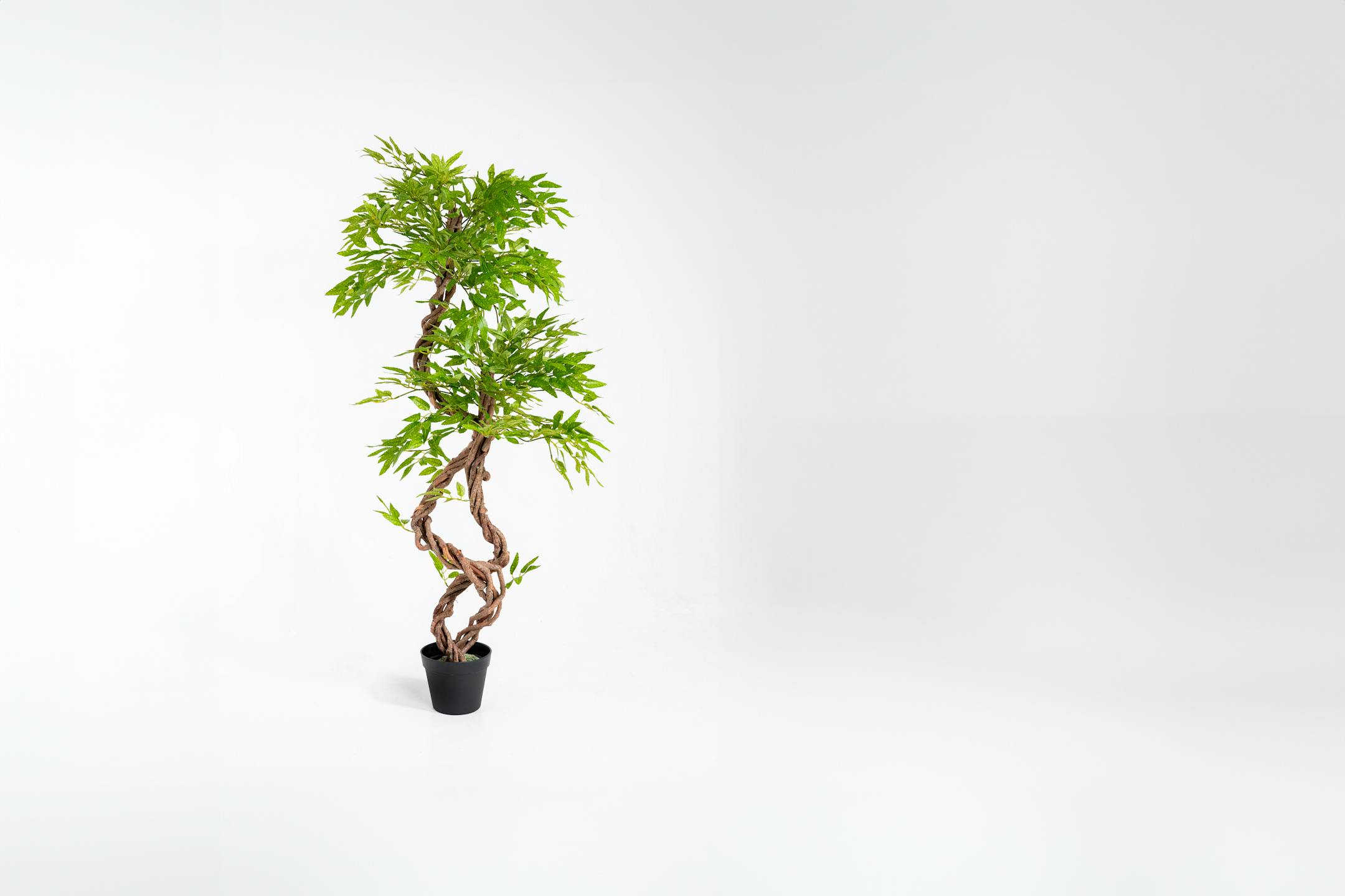 Artificial Japanese fruticosa tree