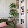 Artificial 180cm fruticosa tree with velvet green sofa