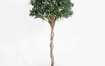 120cm artificial bay laurel tree