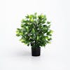 2ft 60cm artificial weeping fig ficus bush in studio setting