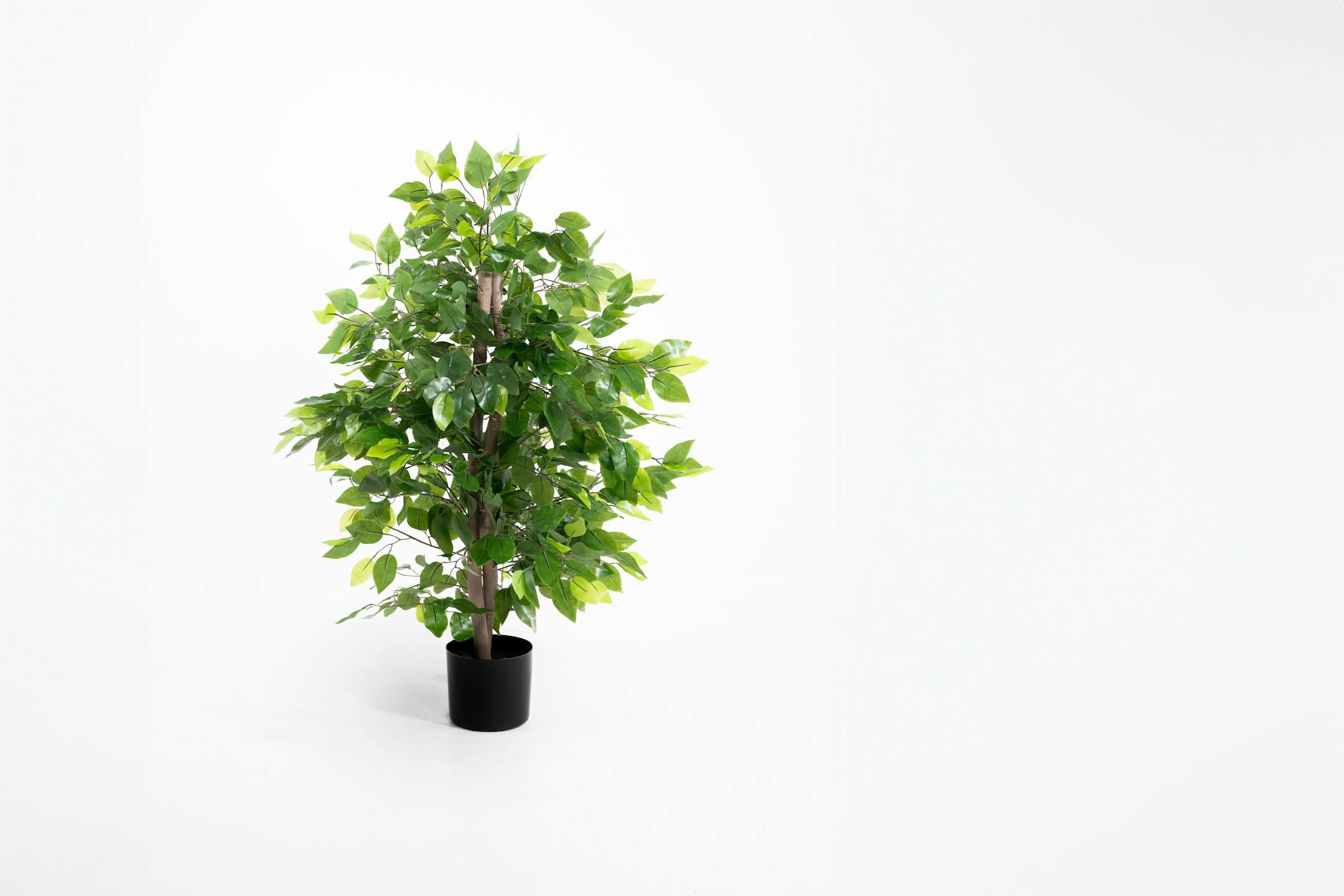 90cm 3ft artificial weeping fig ficus tree