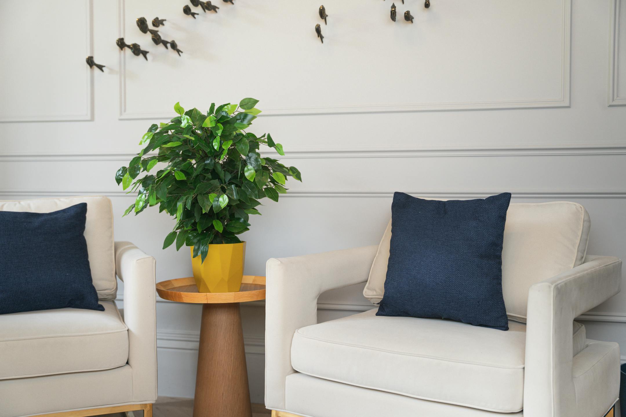 Artificial ficus bush in yellow pot on living room table