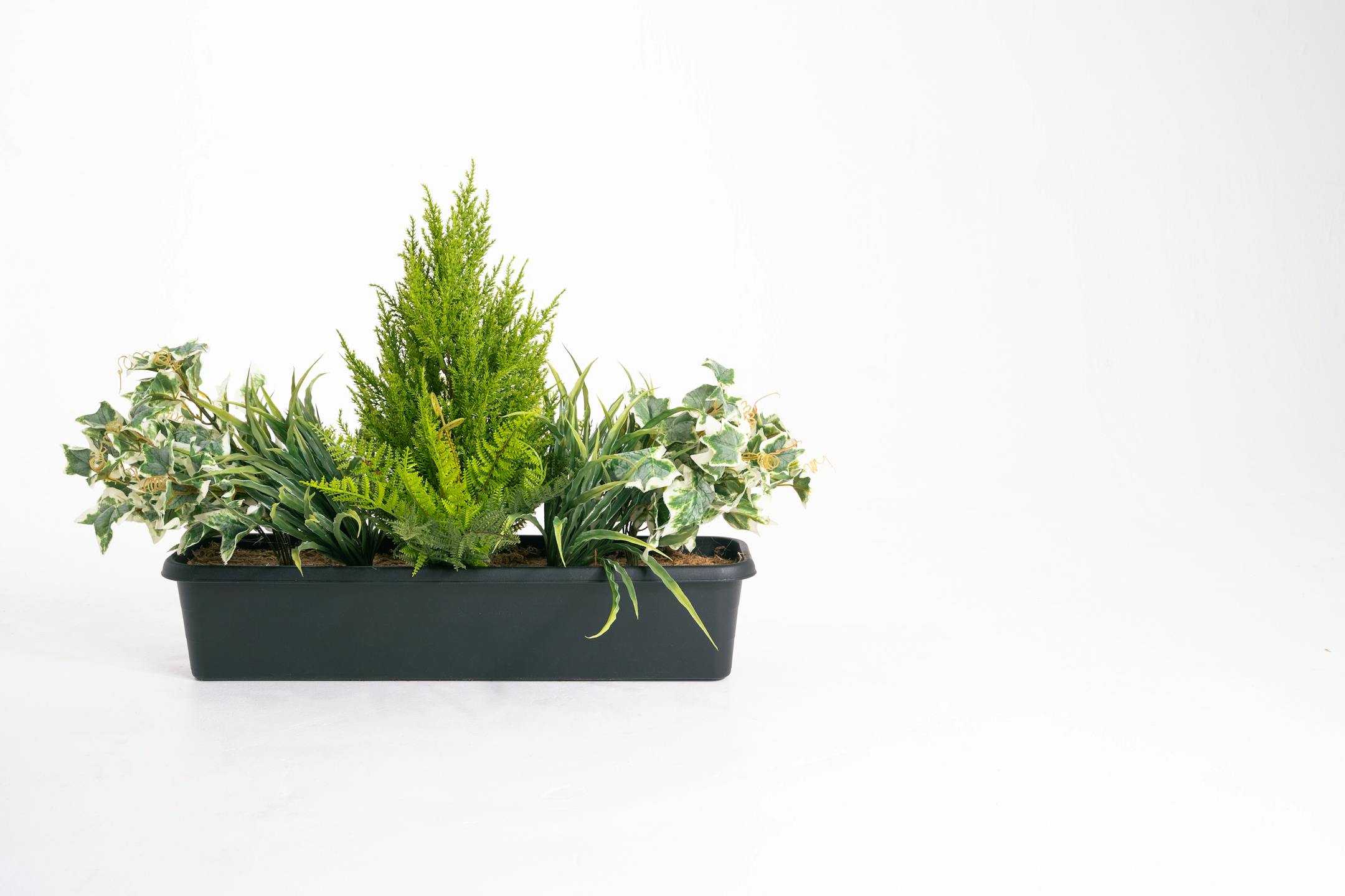 Artificial variegated foliage window box