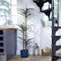 Artificial agave exotic plant in kitchen by spiral stairs