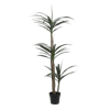 Artificial agave tree in a black pot