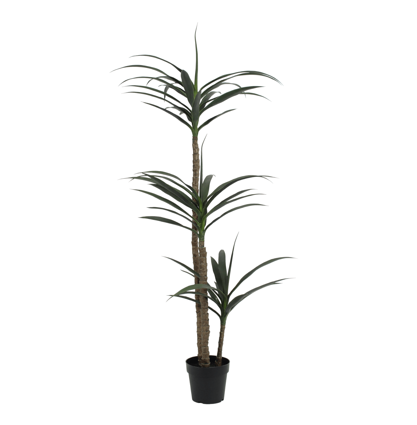 Artificial agave tree in a black pot