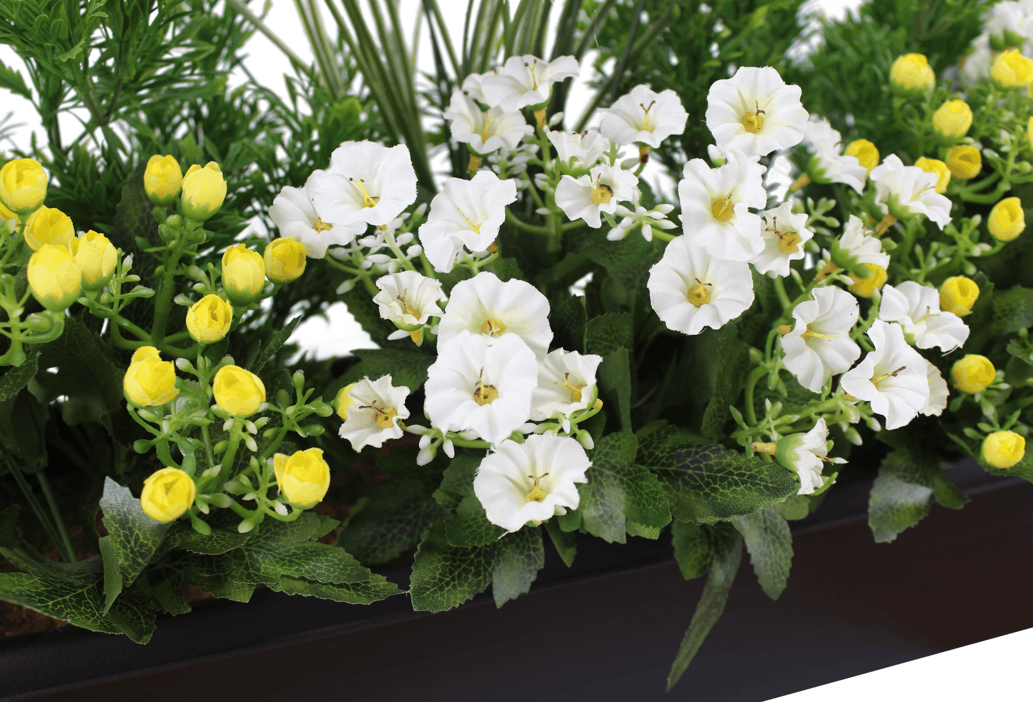 Artificial alluring allium window box close up on white flowers