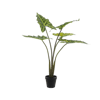 Artificial alocasia frydek indoor plant