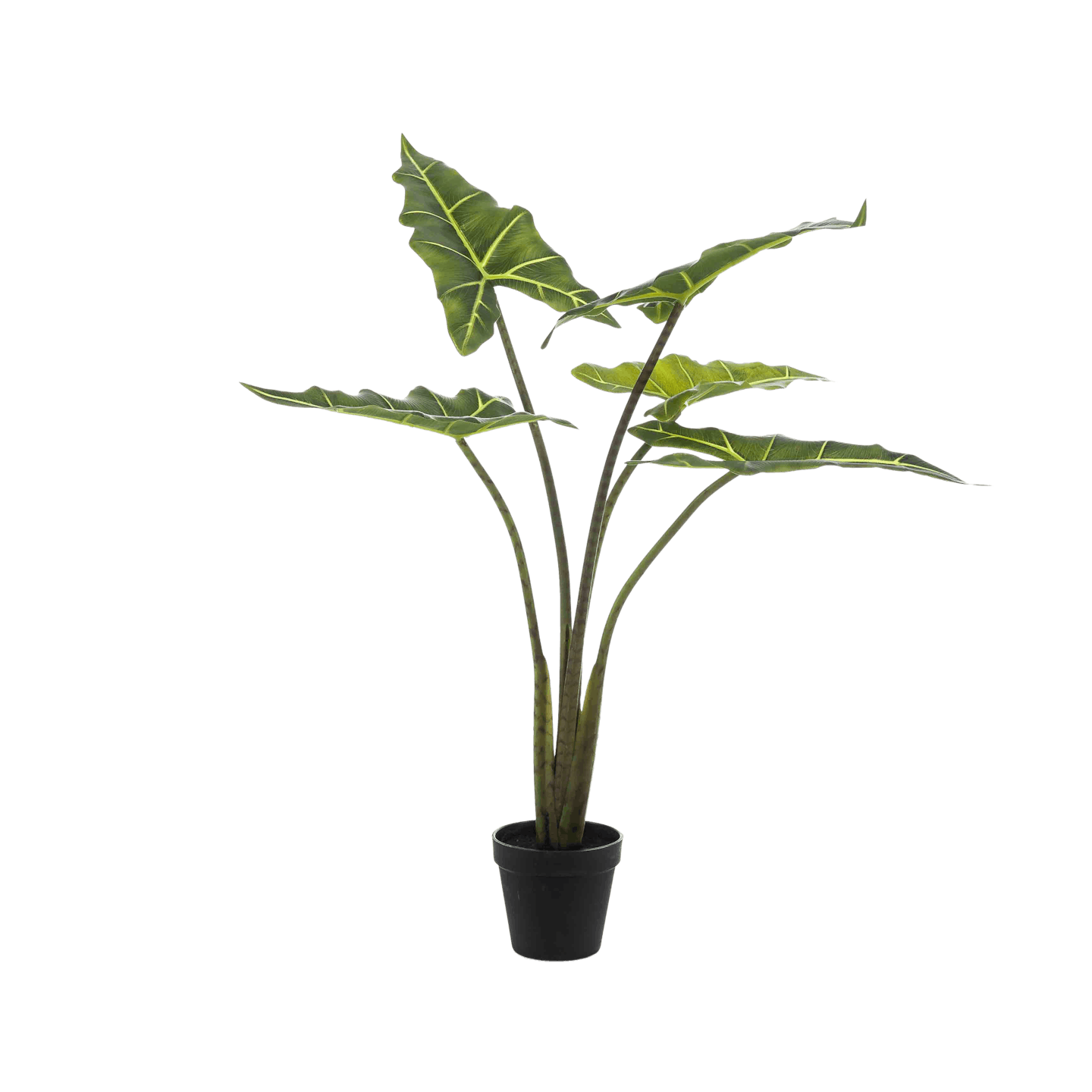 Artificial alocasia frydek indoor plant