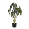 Artificial alocasia plant