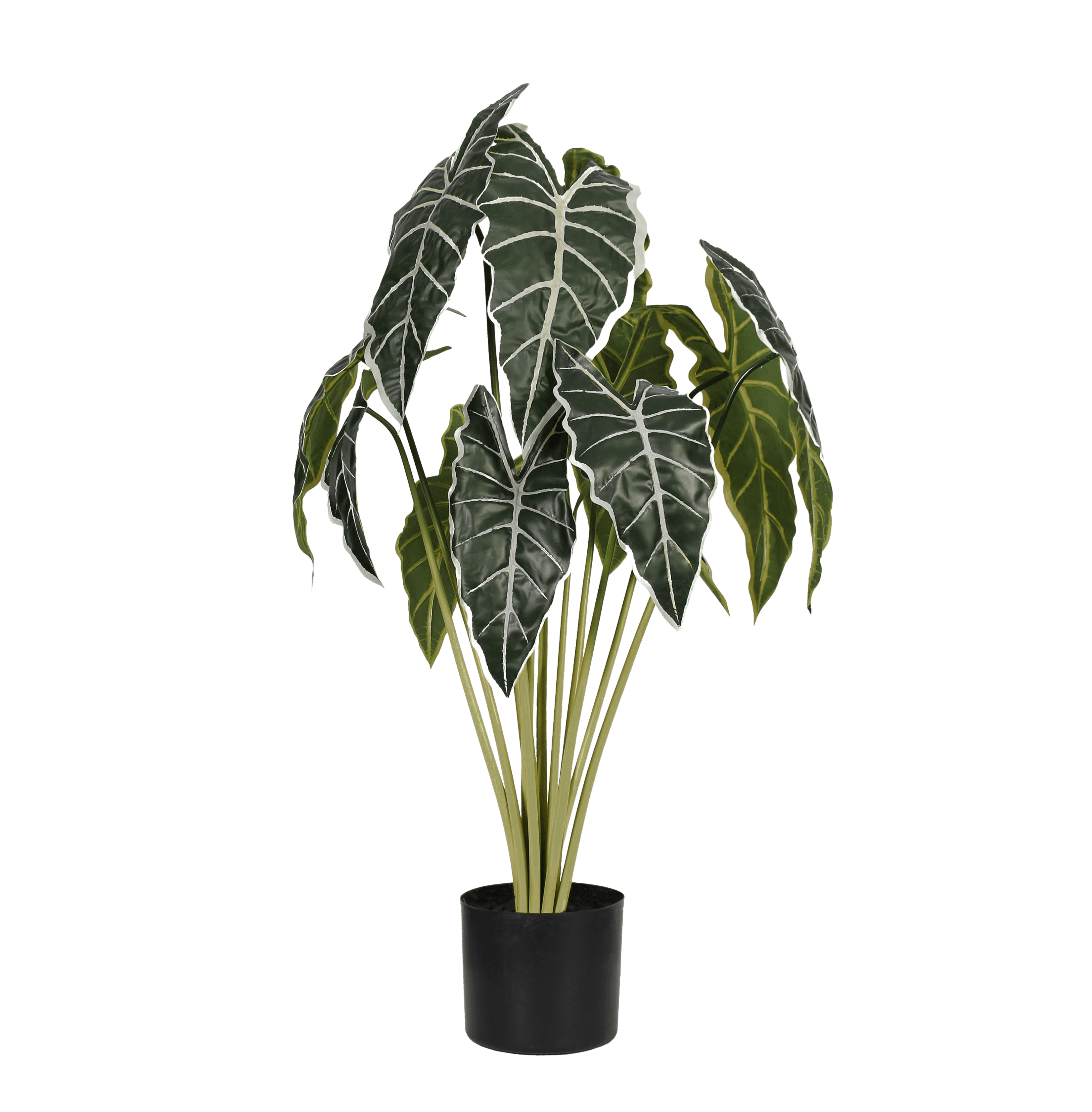 Artificial alocasia plant