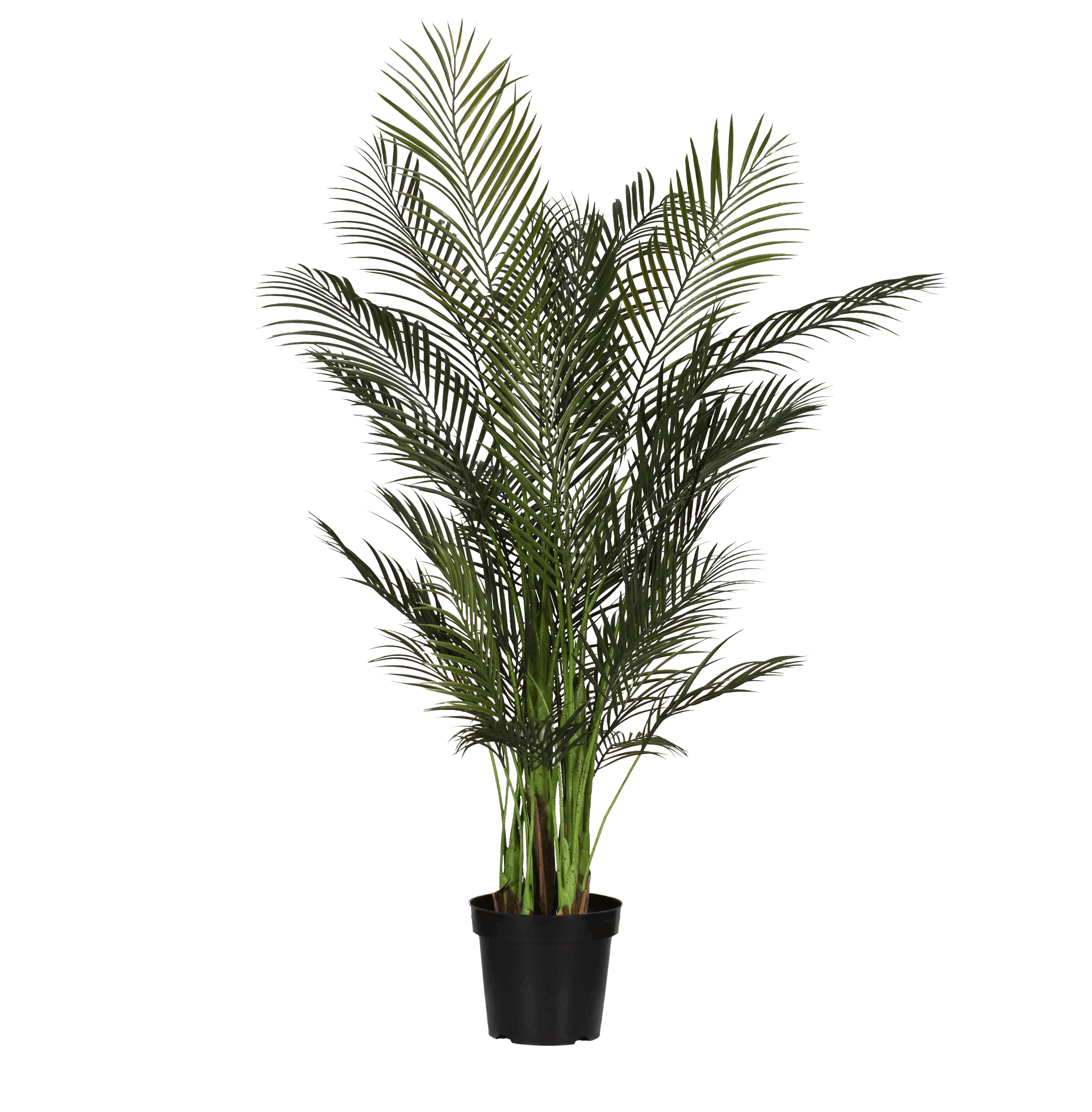 Buy Cheap Nearly Natural Areca Palm Artificial Tree in Decorative