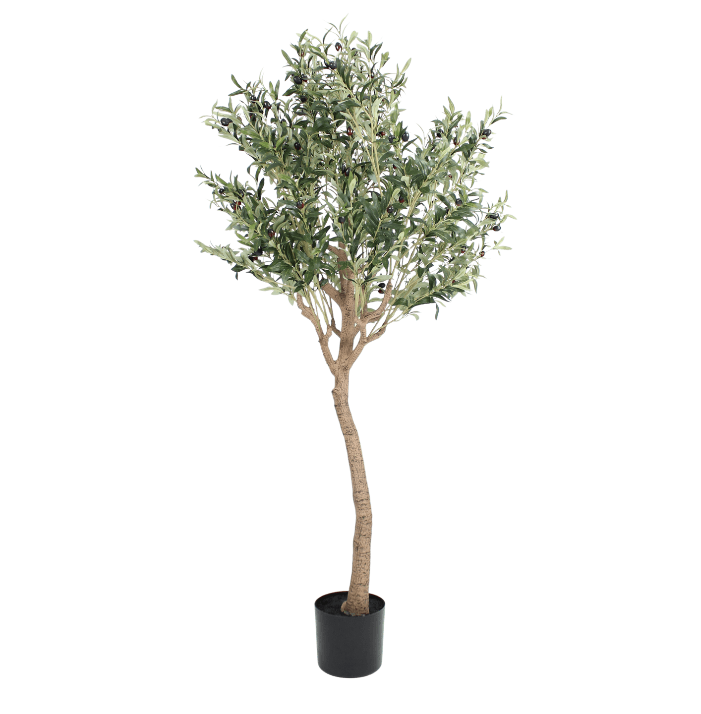 Artificial Ligurian olive tree