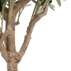 Artificial Ligurian olive tree trunk