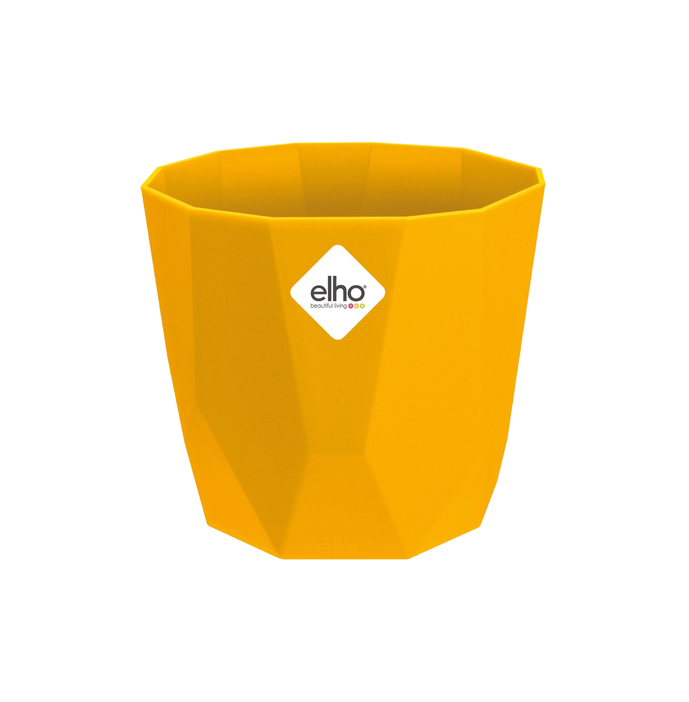 Yellow b.for rock plant pot