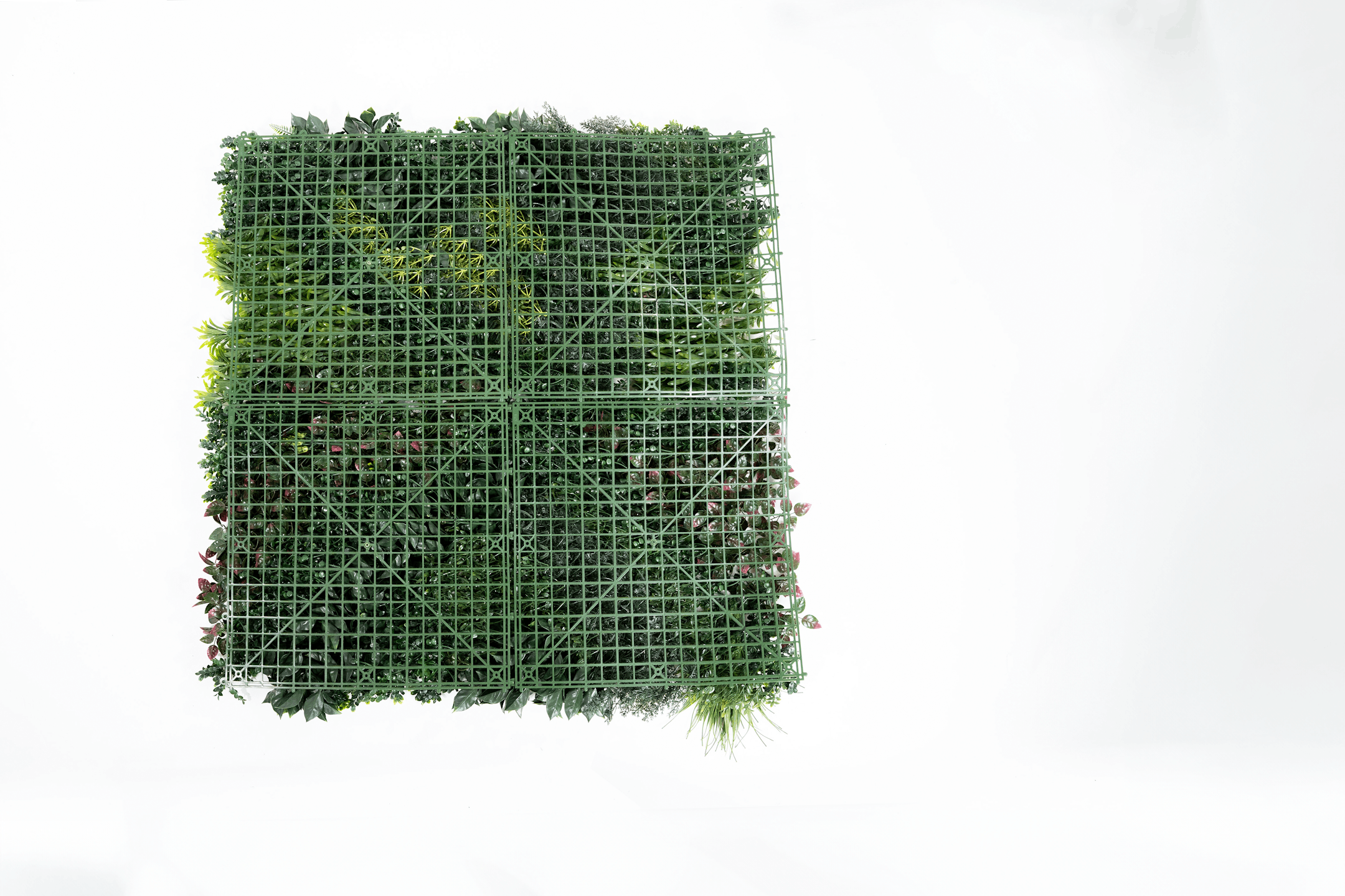 Back panel for green wall landscape