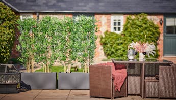 Blooming Artificial bamboo screening planters at Bodney Lodge gardens