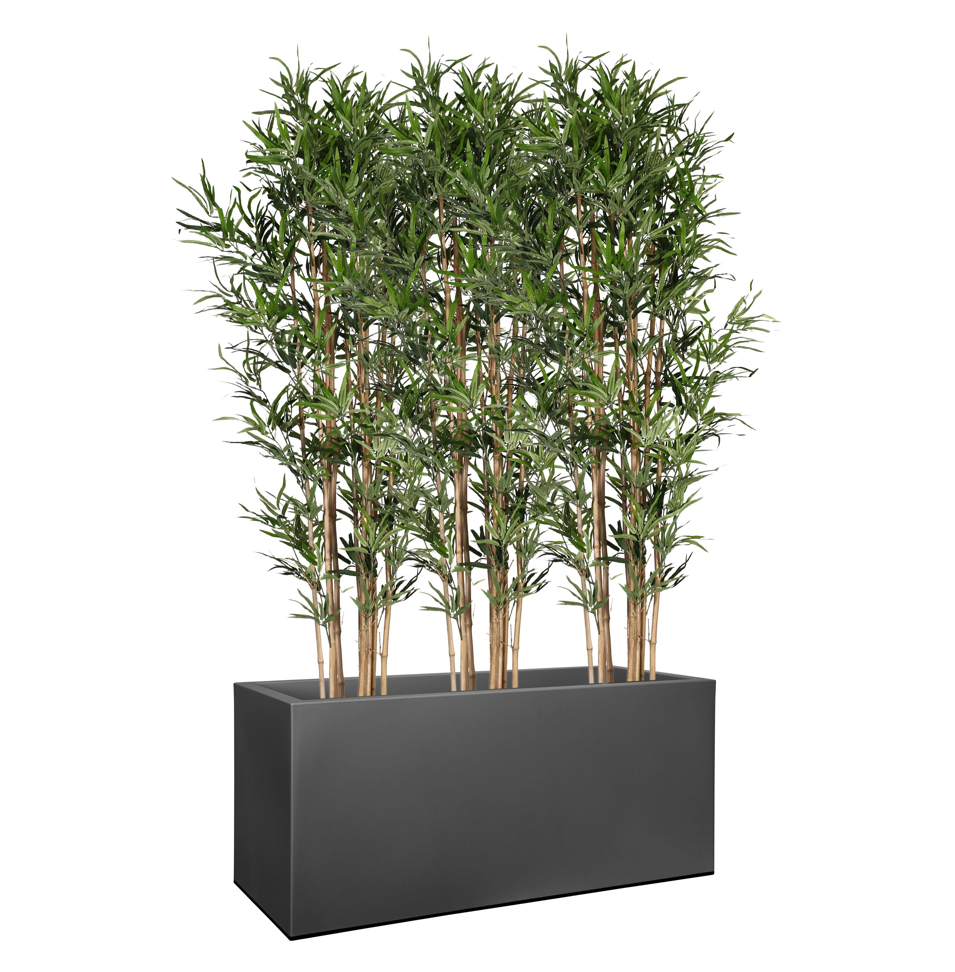Artificial bamboo screening in black planter
