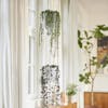 Elho b.for swing hanging planter two tier with trailing greenery
