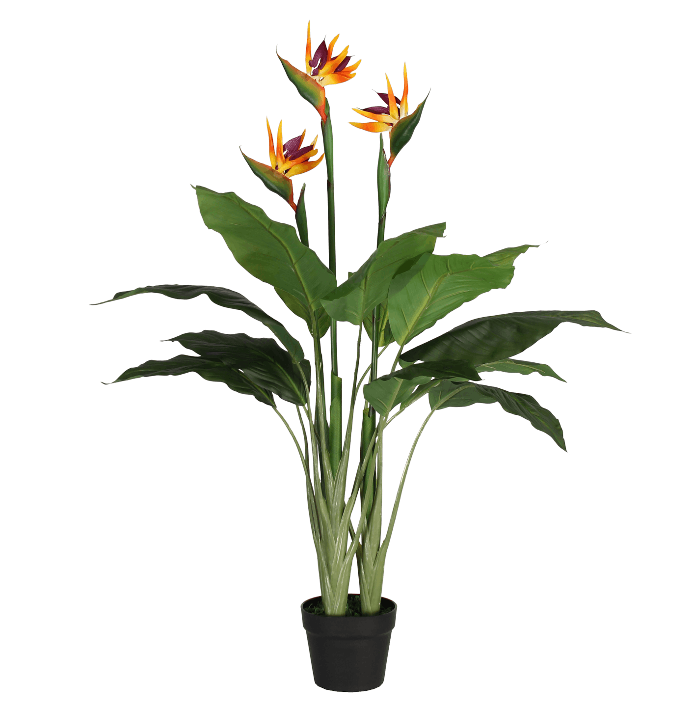 Artificial Bird of Paradise | Tropical & Exotic | Blooming Artificial