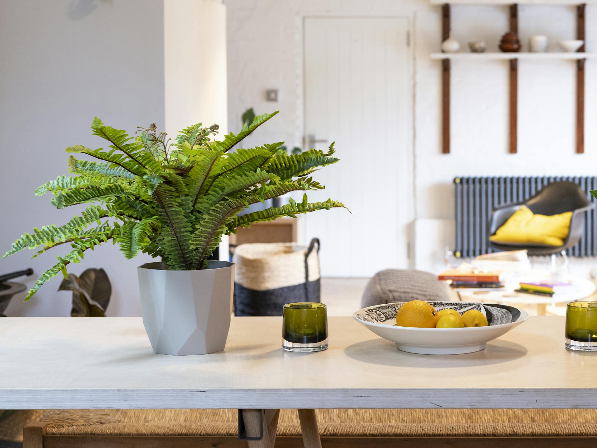 Artificial Boston fern and monstera plan on dining table in modern living room