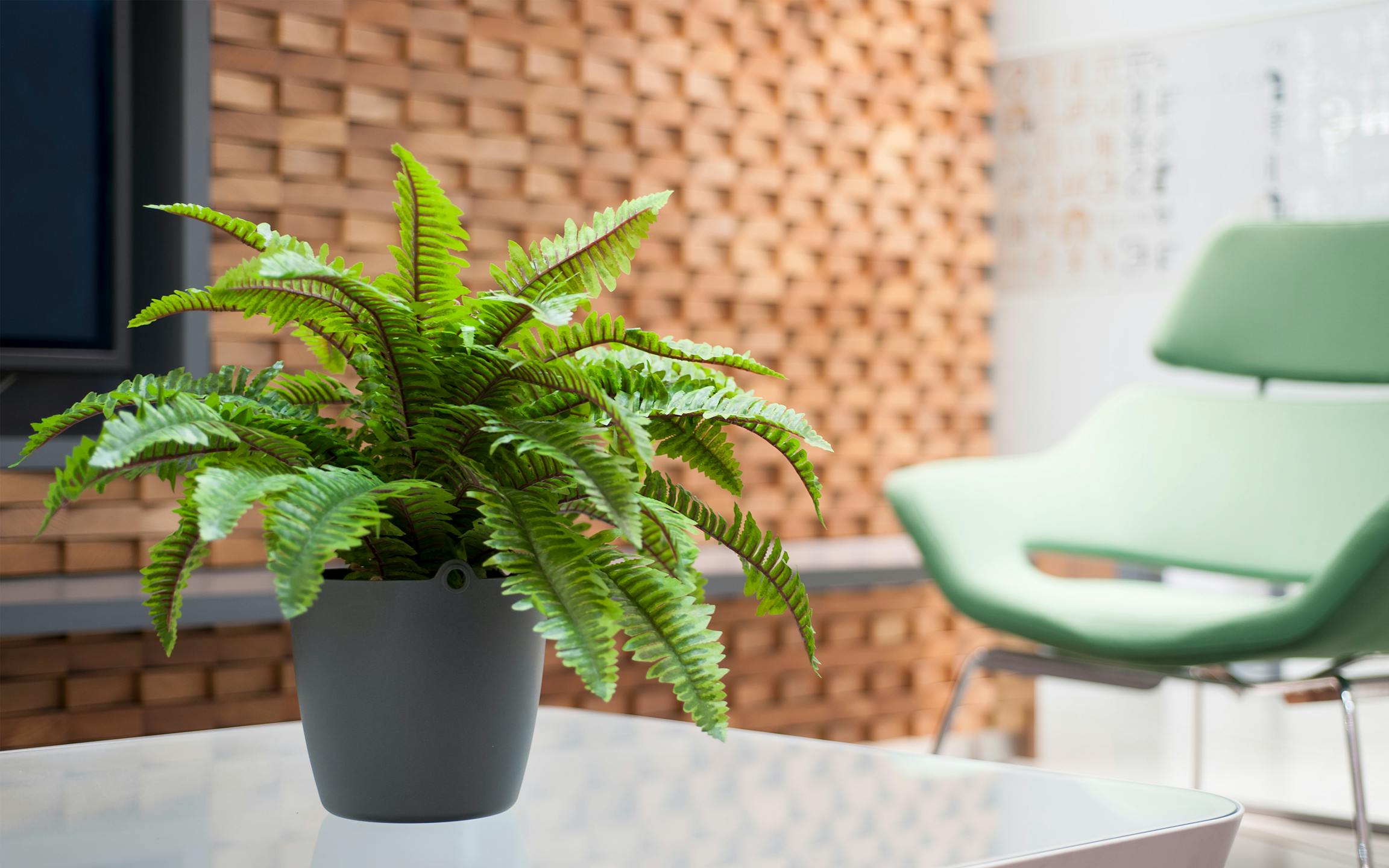 Blooming Artificial - Fake Boston fern plant on office table