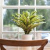 Artificial Boston fern table centrepiece by Blooming Artificial