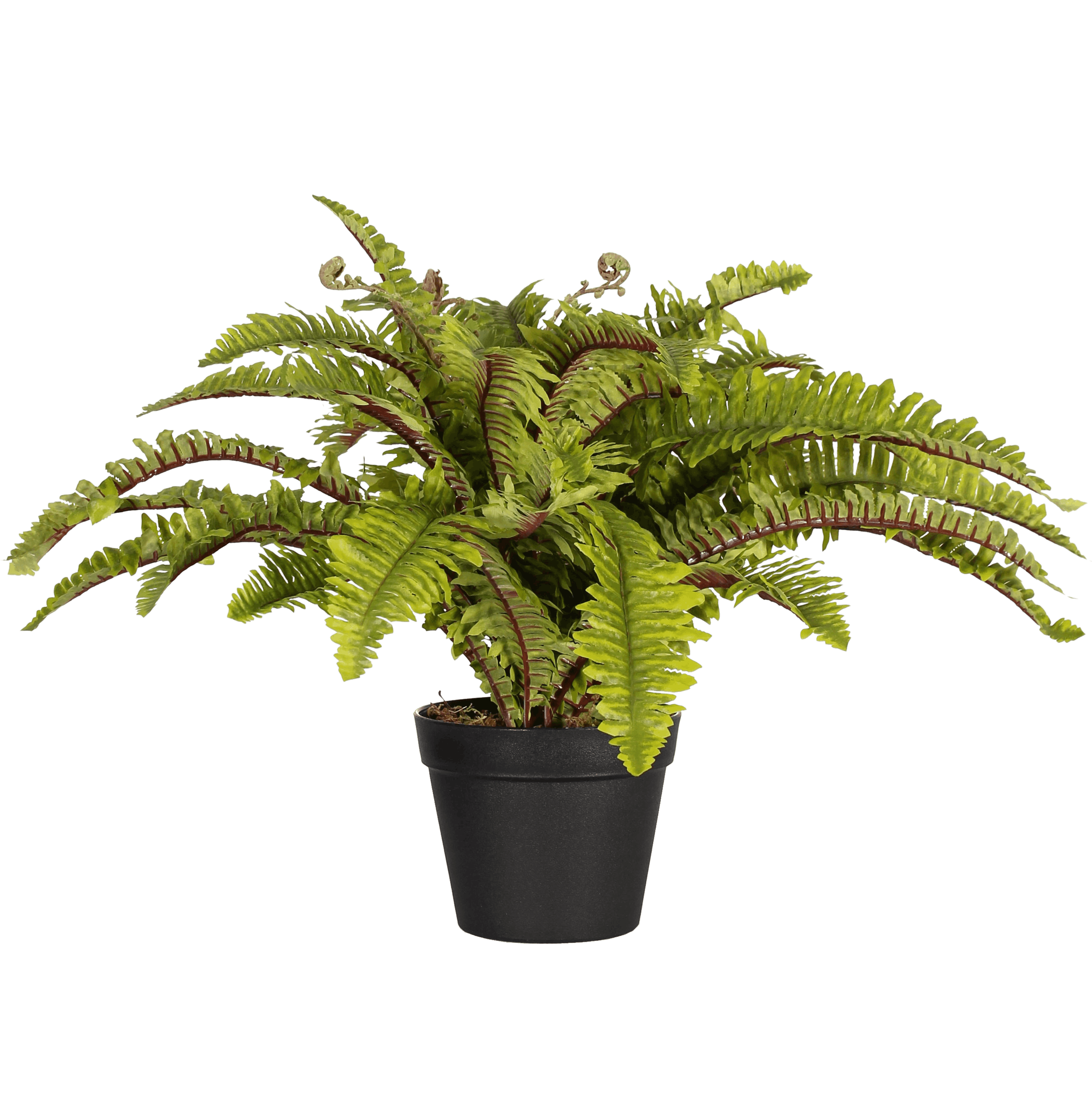 Artificial Boston Fern Blooming Artificial Artificial Boston Fern Blooming Artificial