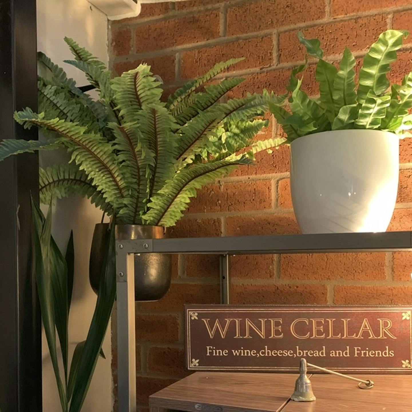 Wine cellar decorated with fake Boston fern