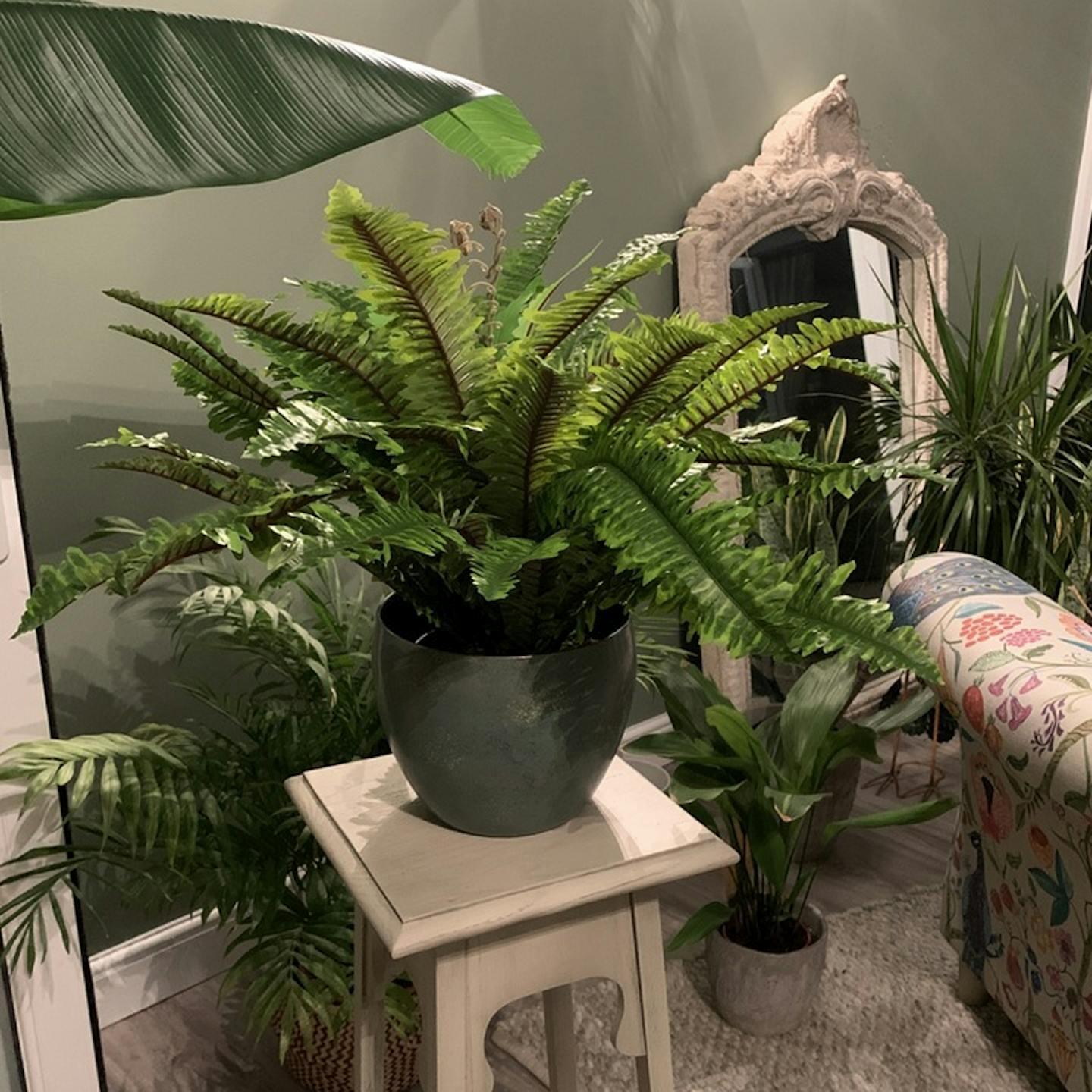 Artificial Boston fern in plant-filled living space jungle
