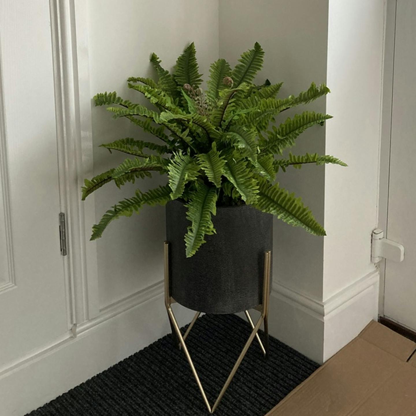 Artificial Boston fern in hallway by frontdoor