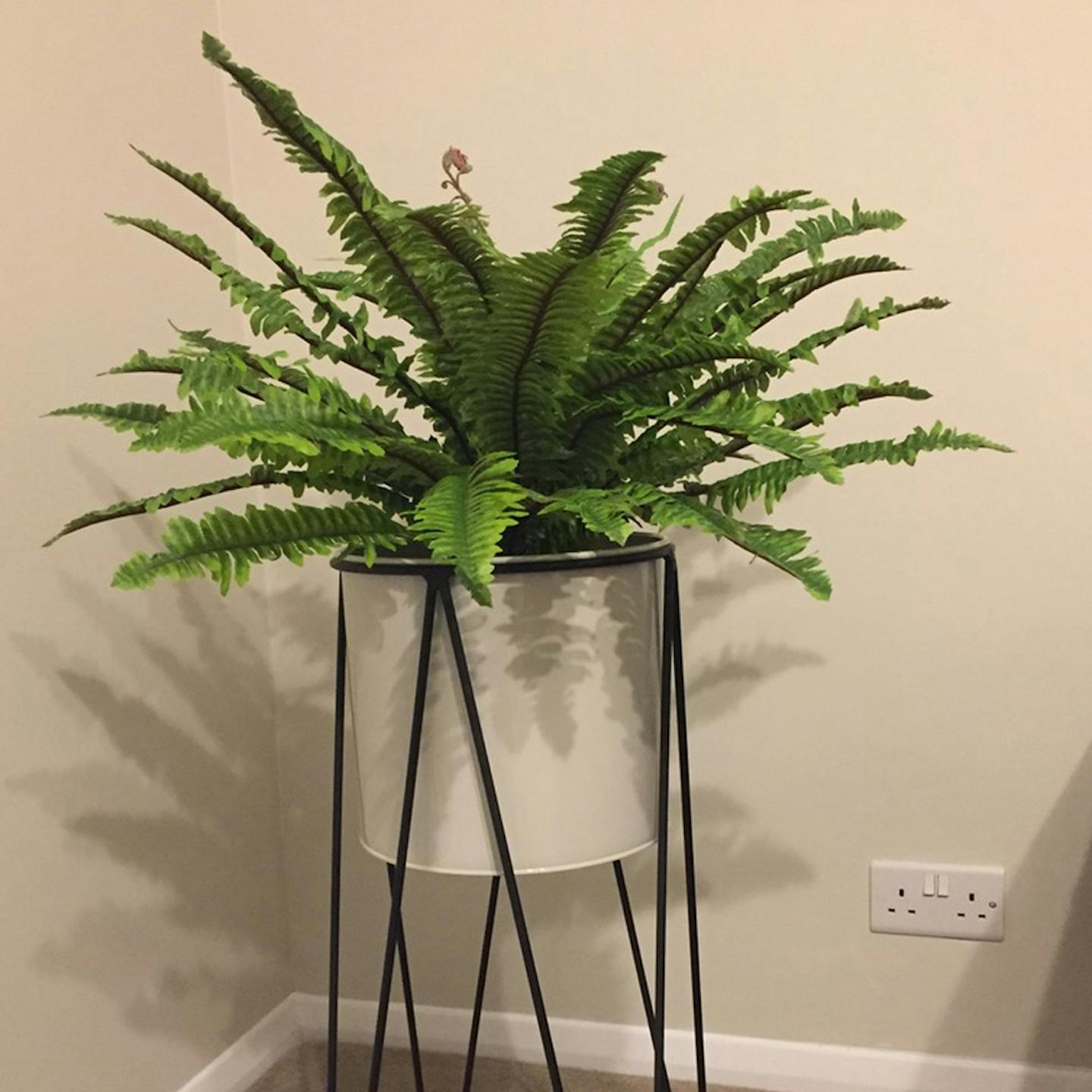 Artificial Boston fern in potstand in corner of room