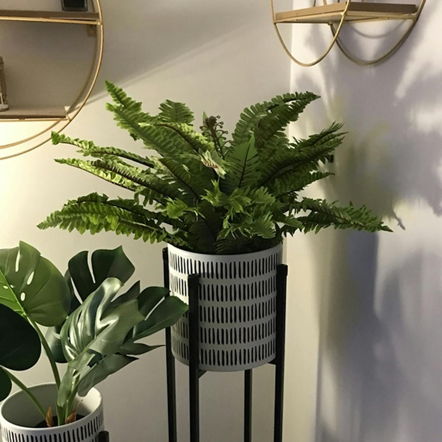 Artificial Boston fern in white/black pot stand in lounge