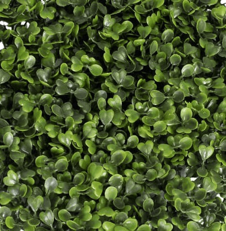 Artificial boxwood foliage green wall panel