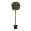 Artificial boxwood single ball tree