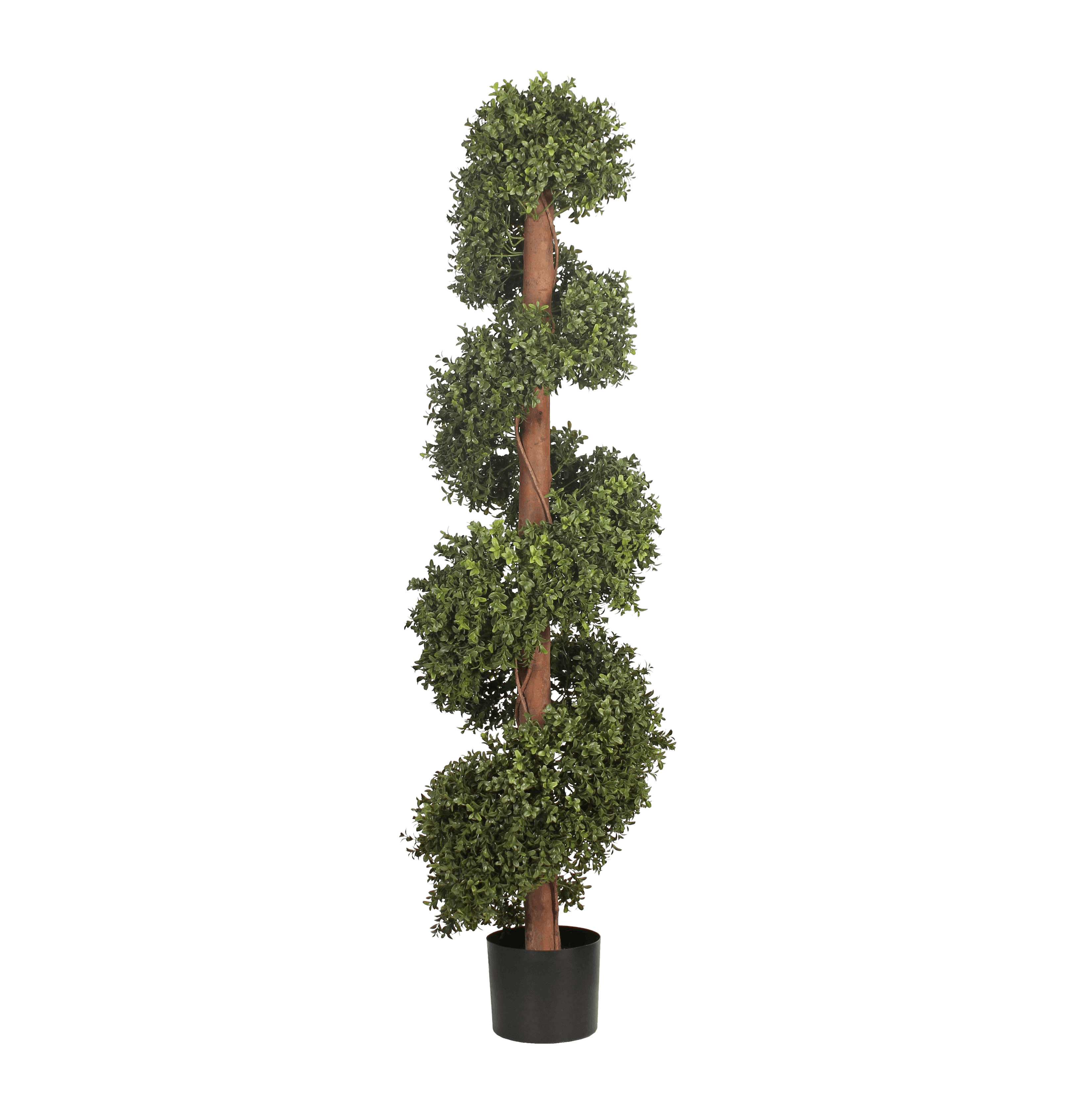 Artificial boxwood spiral with stem 150cm