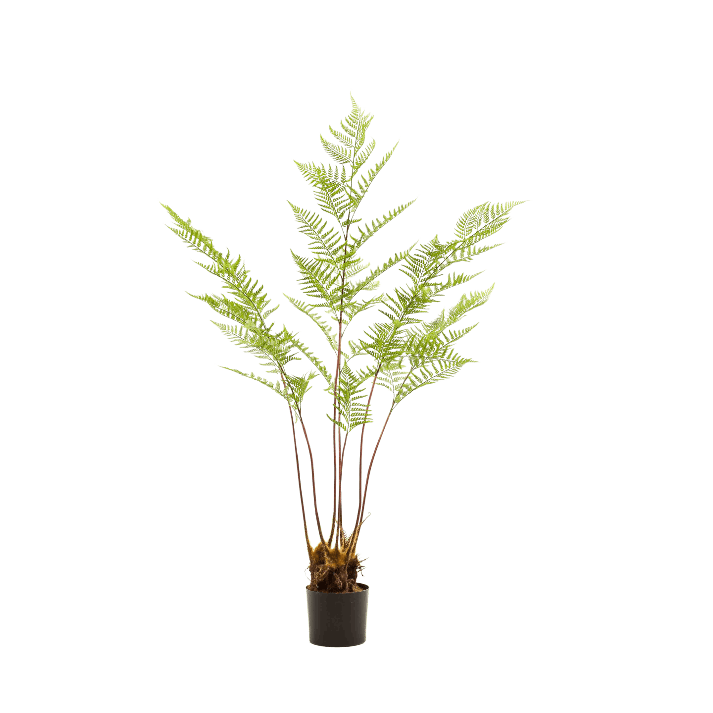 5ft artificial fern tree