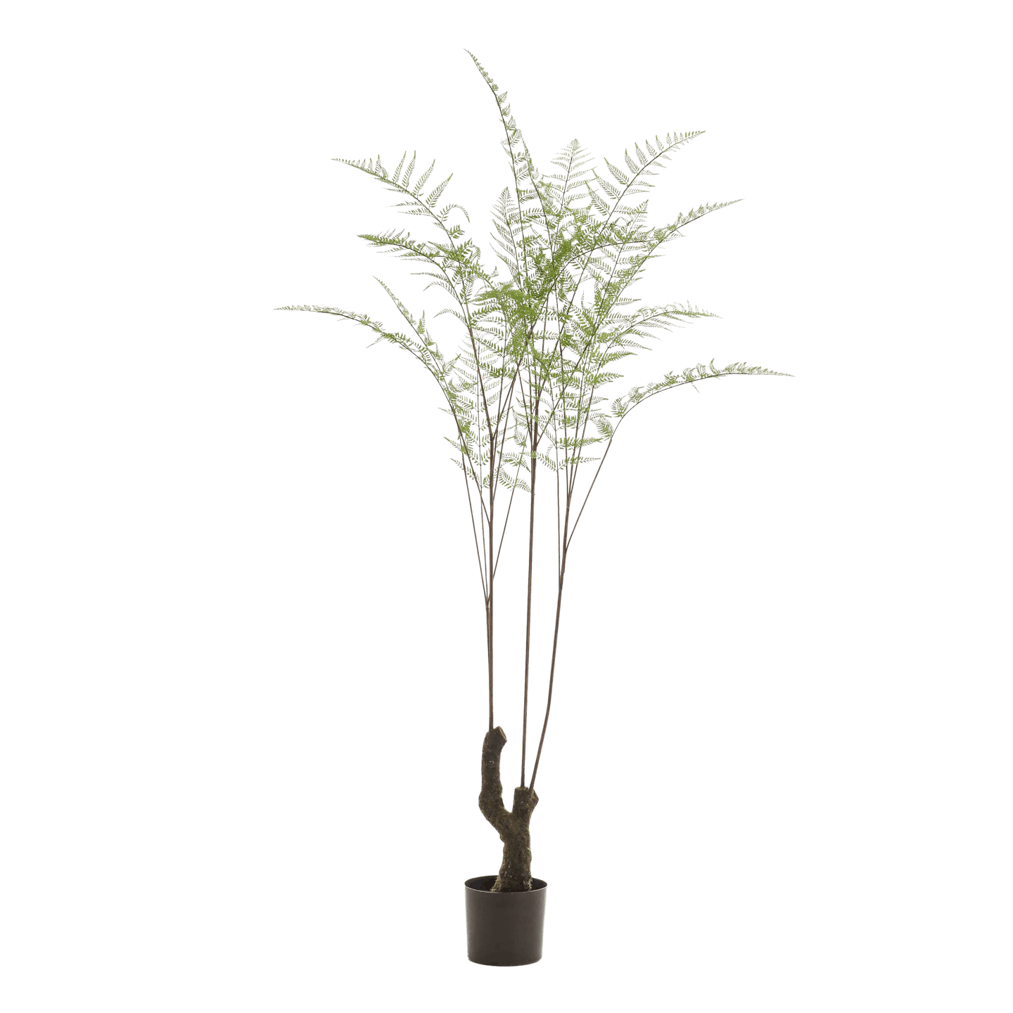 7ft artificial bracken fern luxury tree