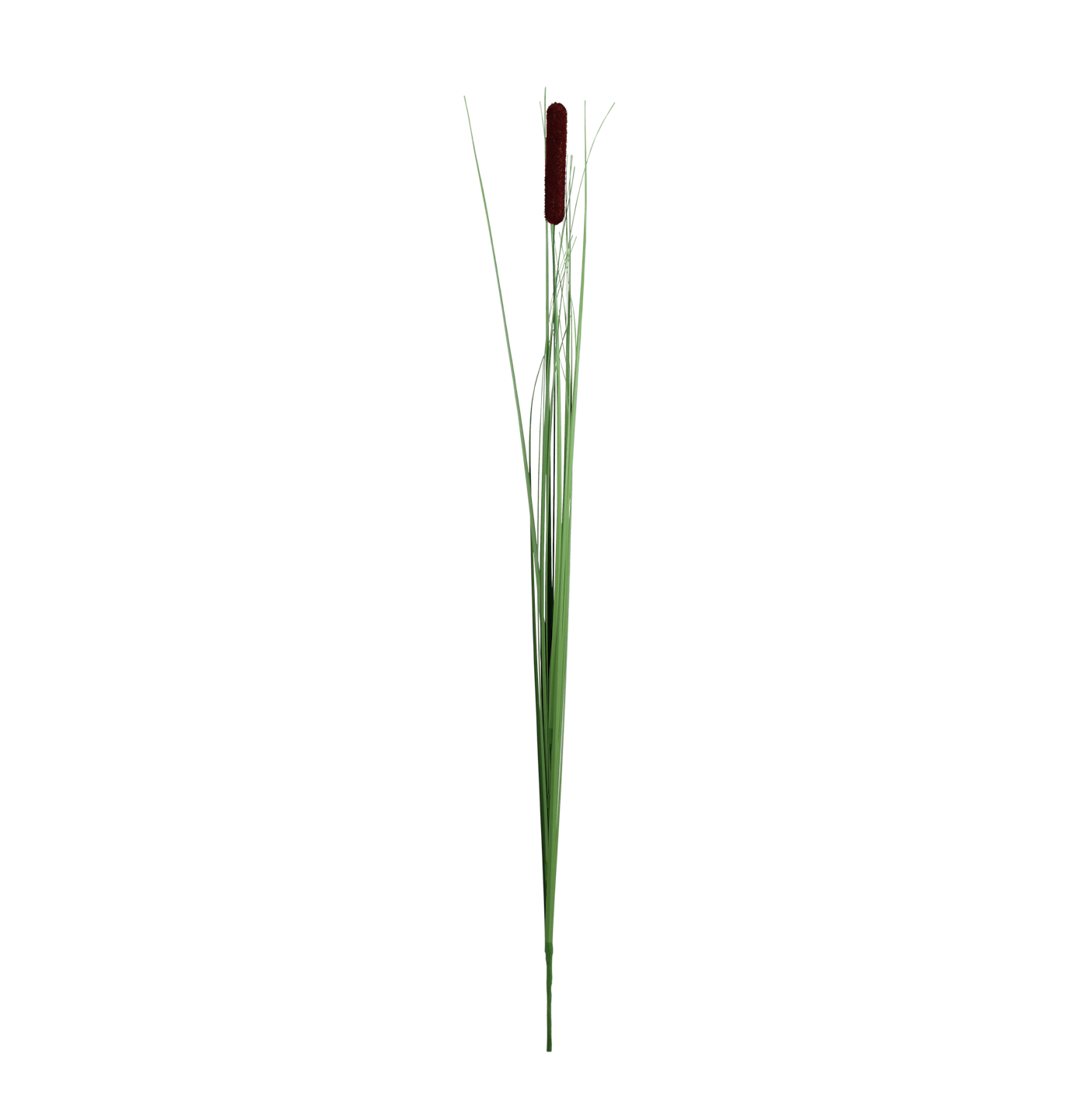 Artificial bulrush grass on spike