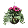 Artificial busy lizzie hanging basket hot pink