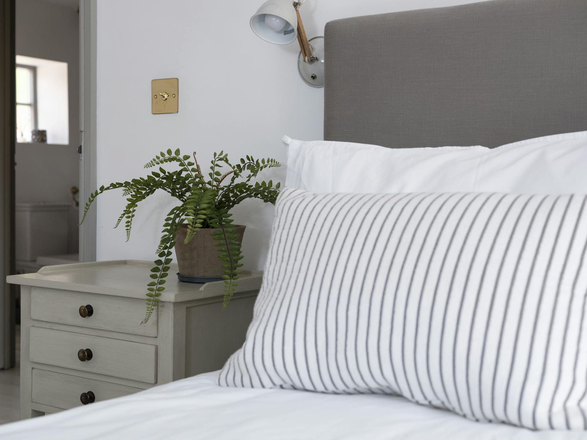Artificial button fern plant on bedside table