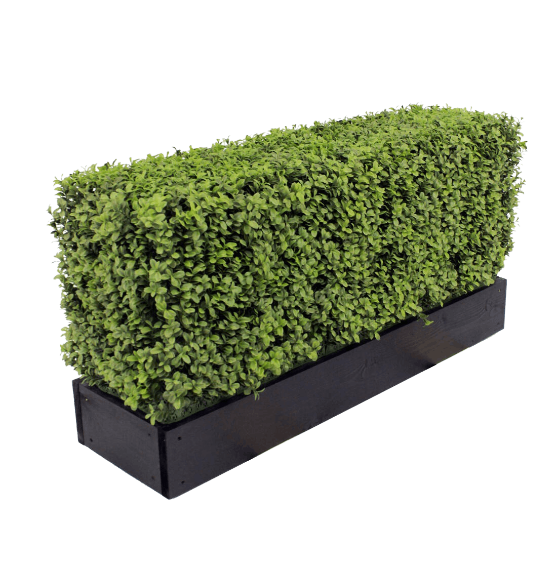 Artificial Buxus Hedge Blooming Artificial