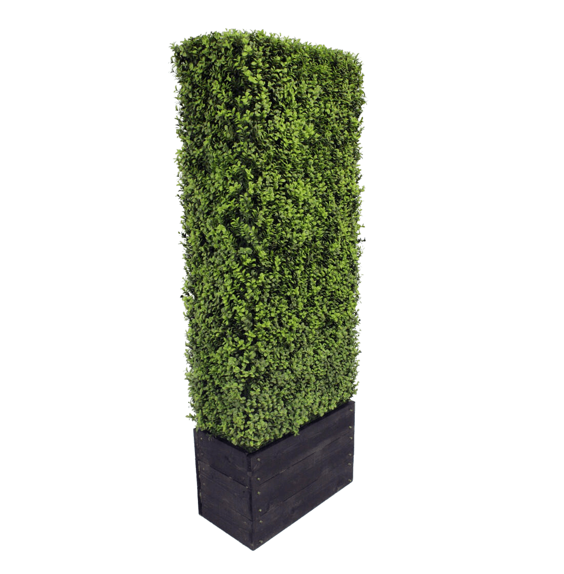 Artificial Buxus Hedge Blooming Artificial