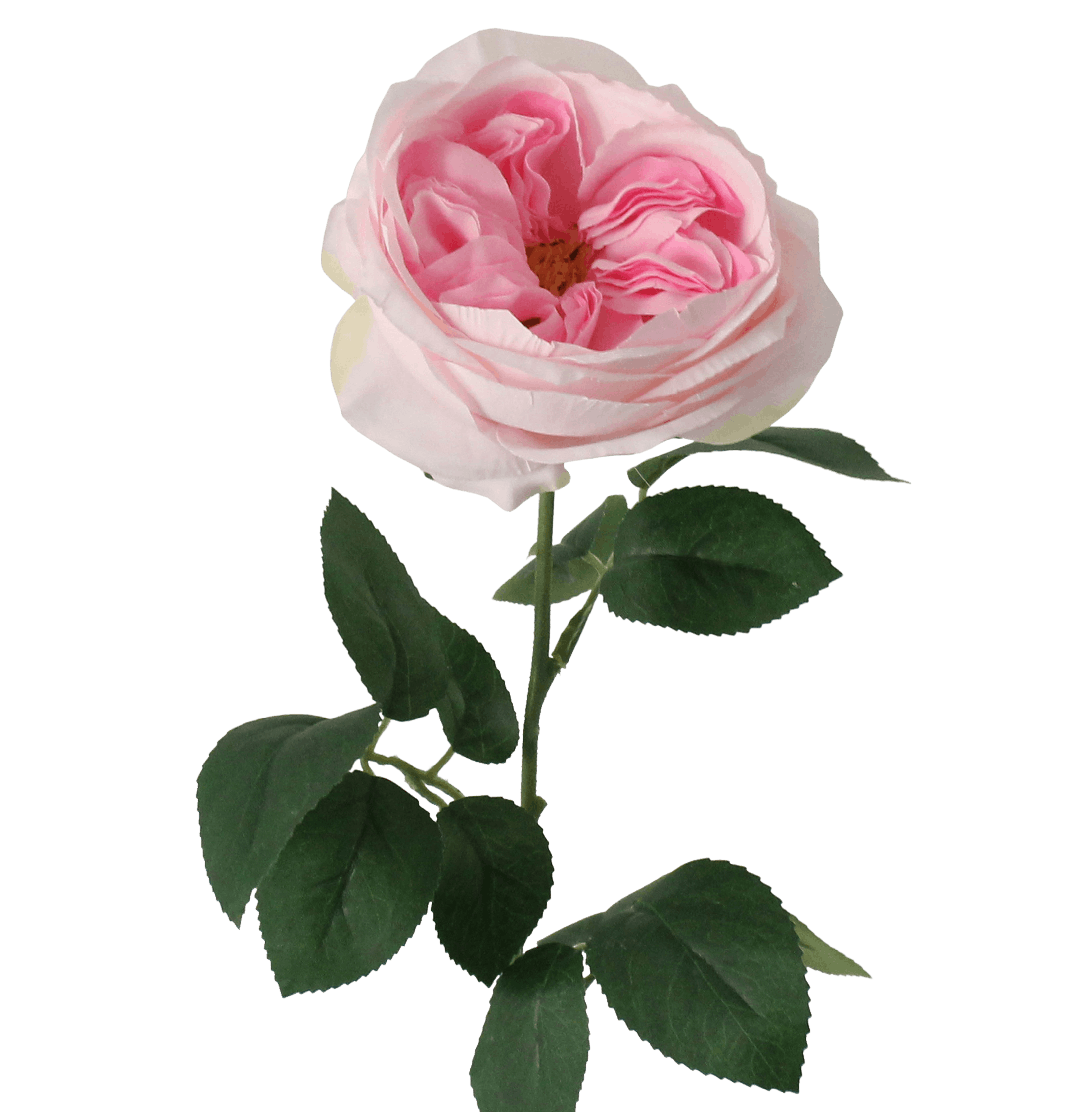 Artificial cabbage rose stem pink
