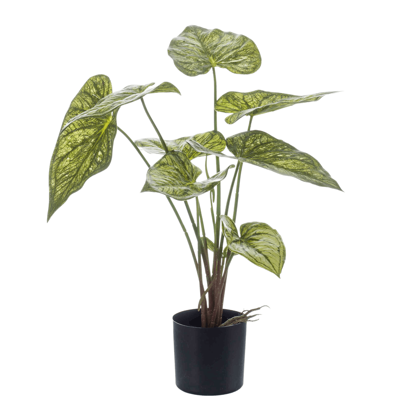 Artificial caladium - green/ yellow leaf