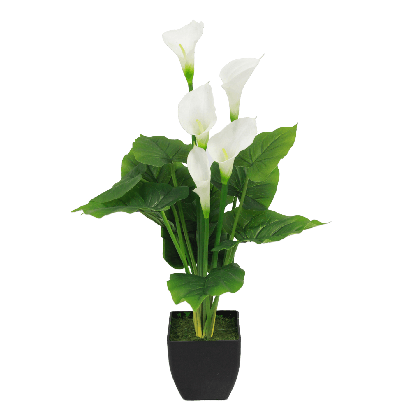 Artificial calla lily